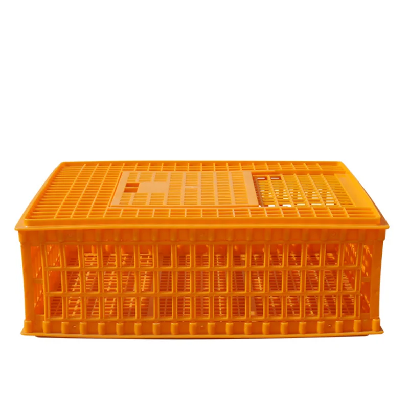 Tavuk Kafesi Plastik Beyaz Turuncu Sari Kumes Hayvanlari Tavuk Ordek Kaz Guvercin Plastik Kasa Kafes Buy Tavuk Ciftligi Tavuk Kumesi Tavuk Kafesleri Product On Alibaba Com Tavuk Kafesi Plastik Beyaz Turuncu Sari Kumes Hayvanlari Tavuk Ordek Kaz Guvercin Plastik Kasa Kafes Buy Tavuk Ciftligi Tavuk Kumesi Tavuk Kafesleri Product On Alibaba Com