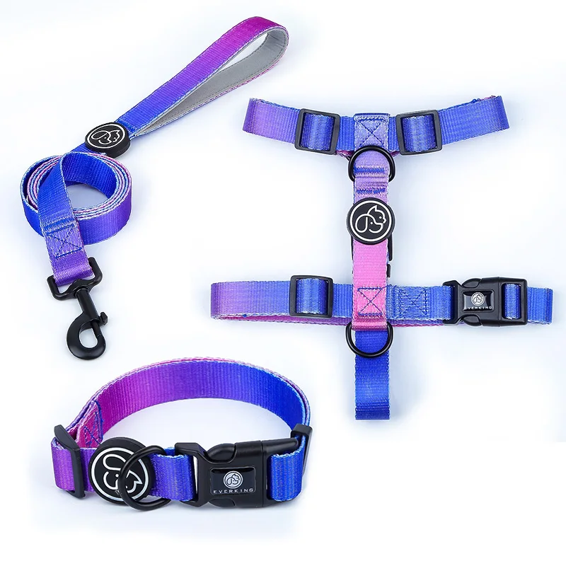 

Pet Accessories Dog Chain Hands Free Dog Leash And No Pull Pet Harness Set