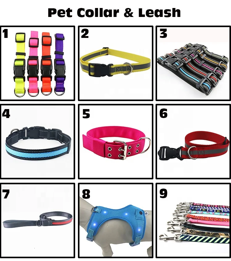 pet collar leash webbing.jpg