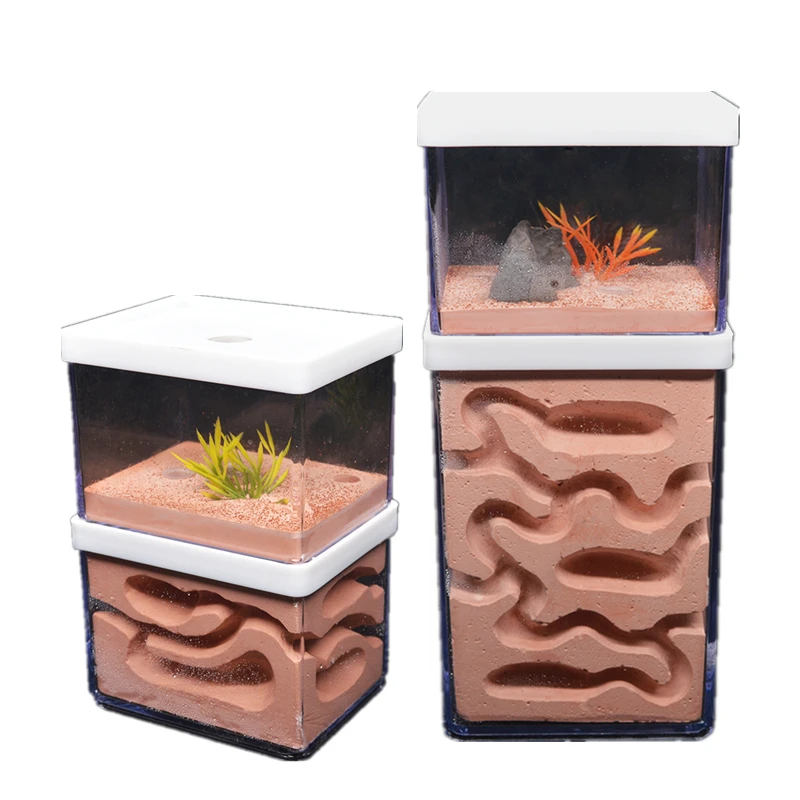 

Natural Ecological Ant Farm Kit Ant Farm Ant Nest, Transparent