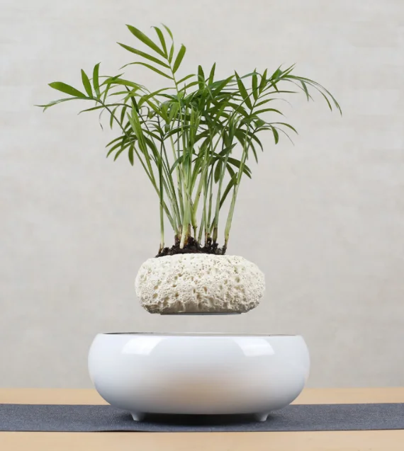 Magnetic levitating air bonsai
