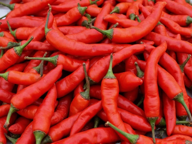Chipotle Pepper Heat Level: 2,500-8,000 SHU Explained