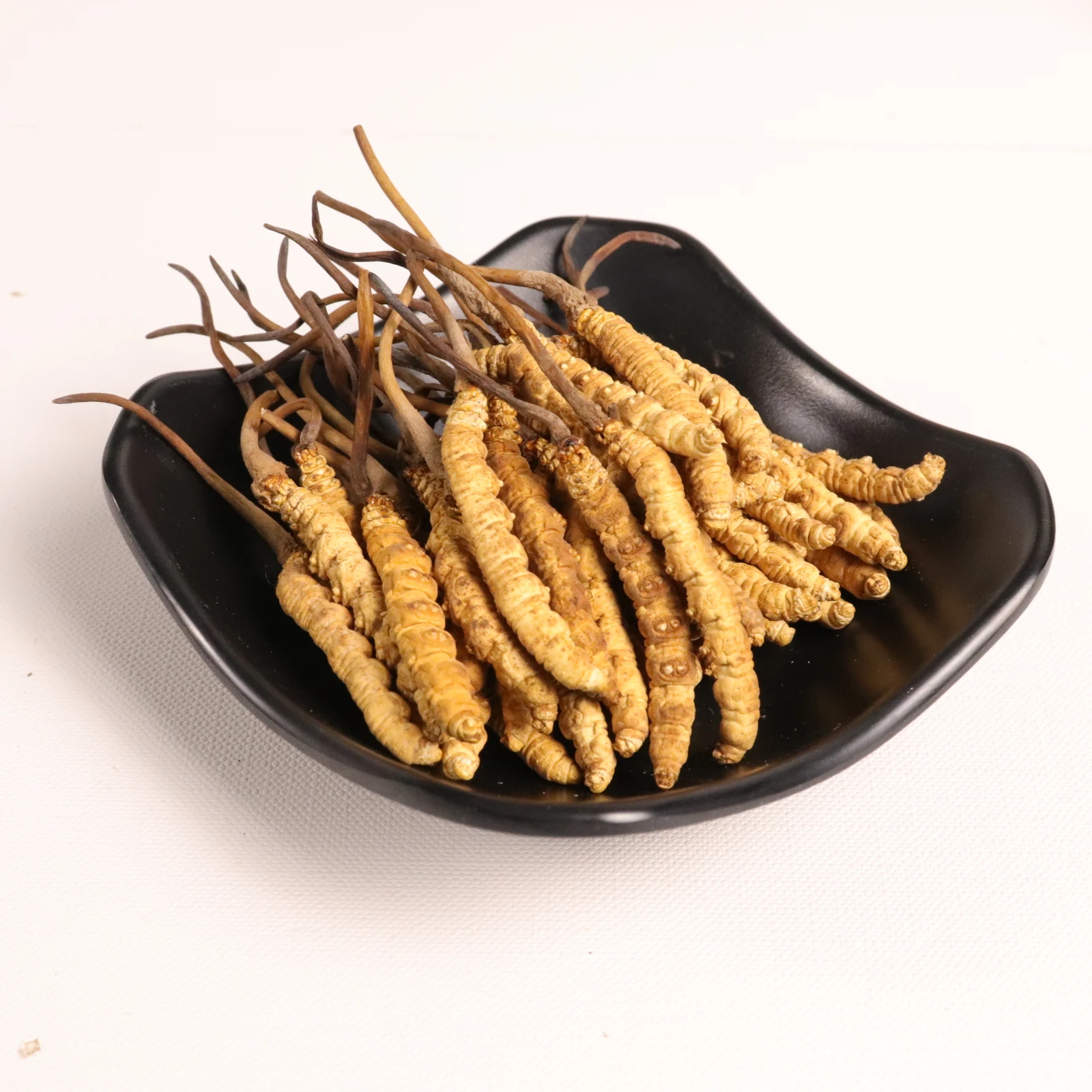 

Pure natural cordyceps sinensis soup boiled water good tonic