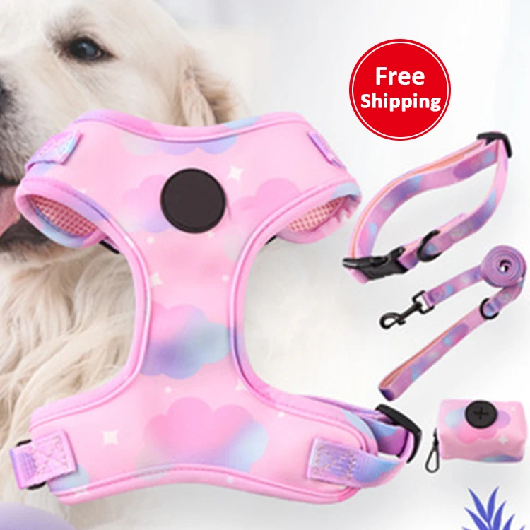 

Popular Custom Design Dog Harness Matching Collar Leash Tie Set Neoprene Reversible Dog Harness Vest