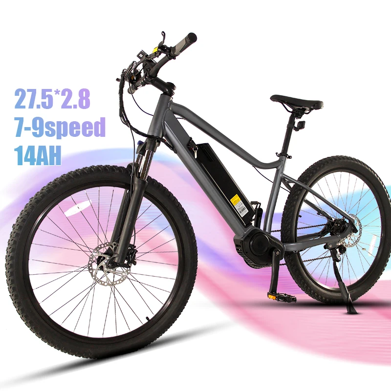 

Cheap Super strong momentum 500W electric bike with 48V14ah battery bike