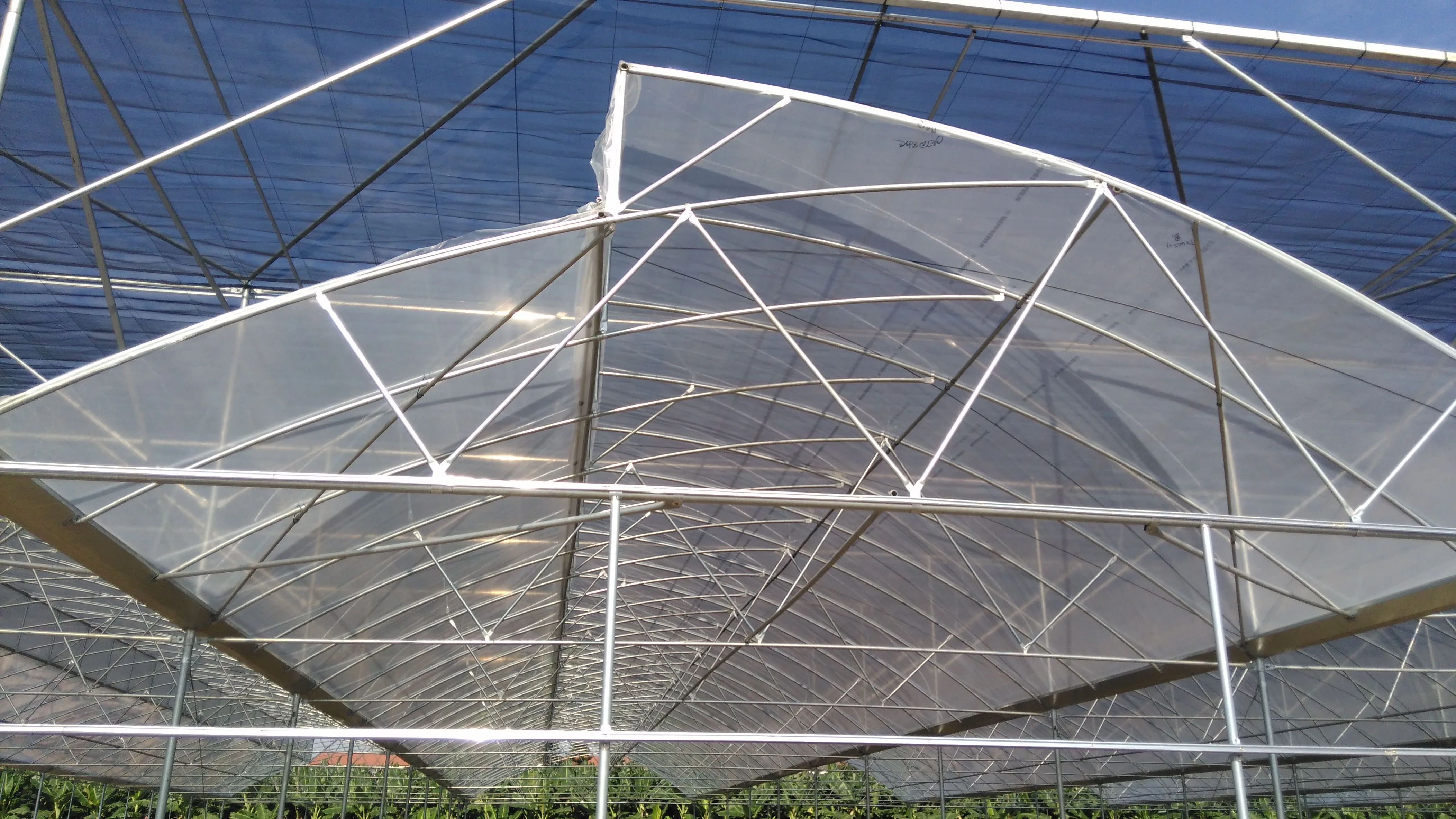 2020 Multi Spans 200 Micron Plastic Greenhouse Covering Flower Seeding