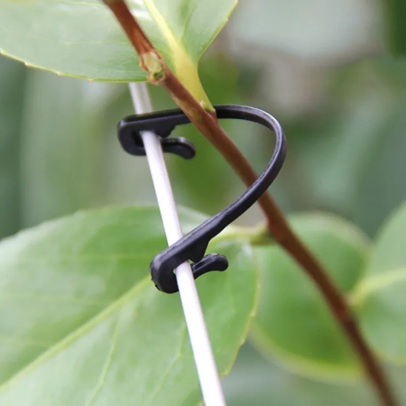 

Agricultural Greenhouse Accessories 50 Pcs/Set Practical Vines Fastener Tied Buckle Hook Plant Vegetable Grafting Clips, As photo