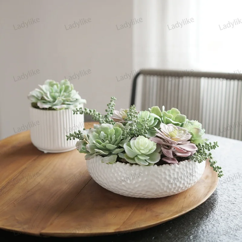 

Wholesale Real Touch Fake Variegated Tropical Clover Faux Mini Cactus Set Artificial Succulent Plants Potted Decoration, Customizable