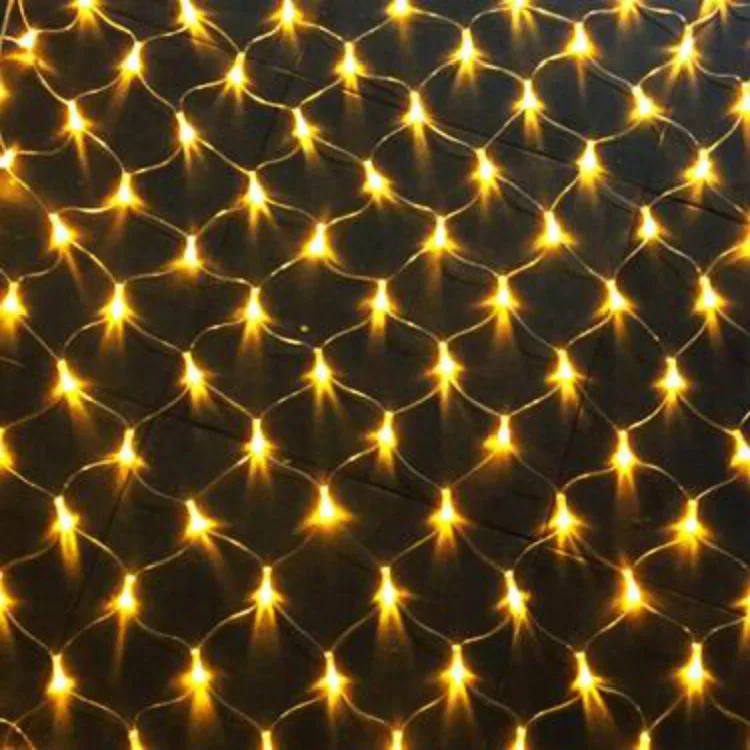 net light 011.jpg