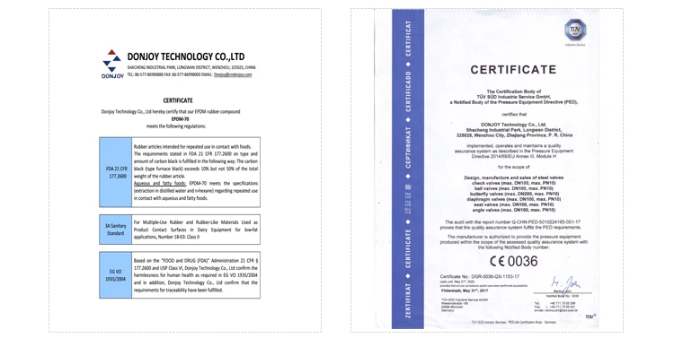 Pneumatic Globe Valve