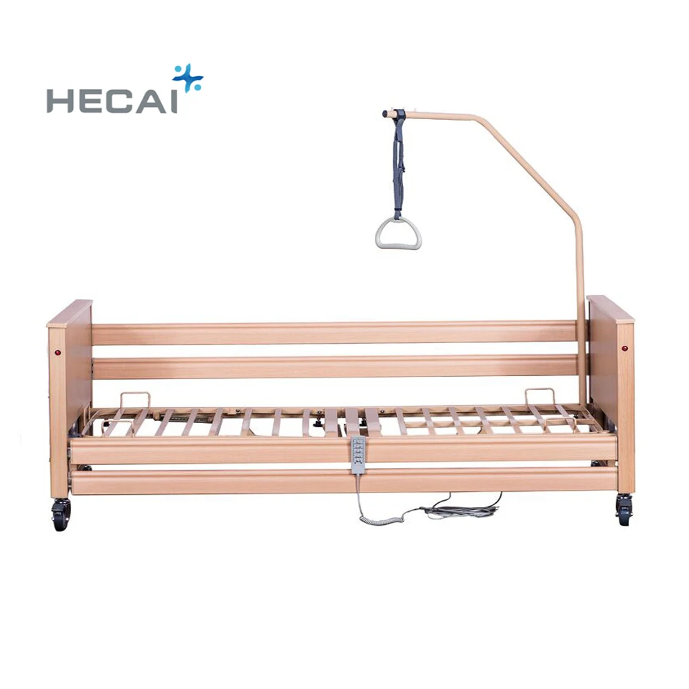 Hospital furniture 6 function electric home care bed medical nursing bed for old people Manufacturer's Direct Sales LS-EA5001