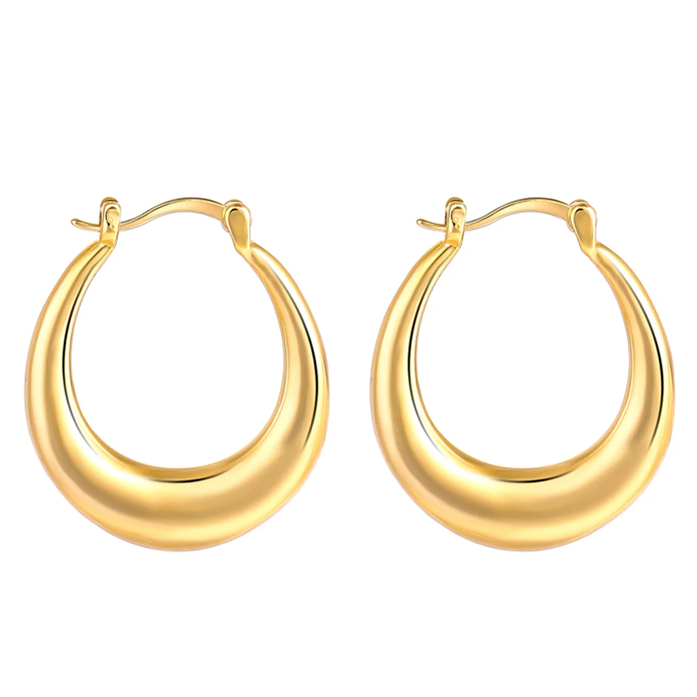 

Fashion trendy Minimalist Plated 18k 14k Gold Thick zodiac small hoop Earrings