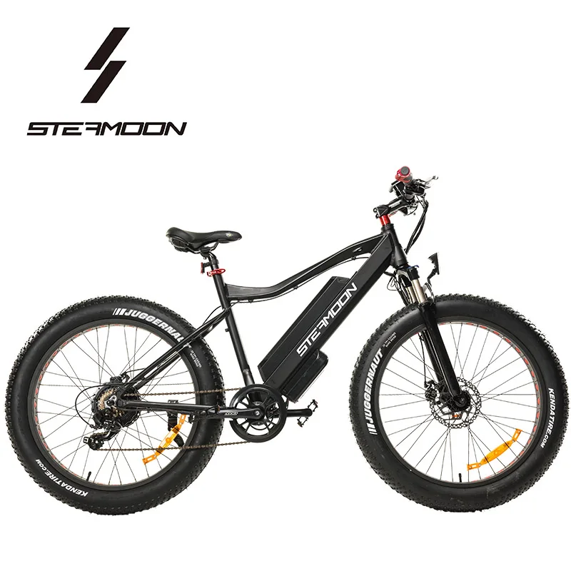 

High quality electric bicycle 48V 750W electric bike bicycle ebike for adults