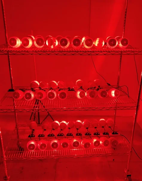 paste-pic-dp_uuid_z3gmk