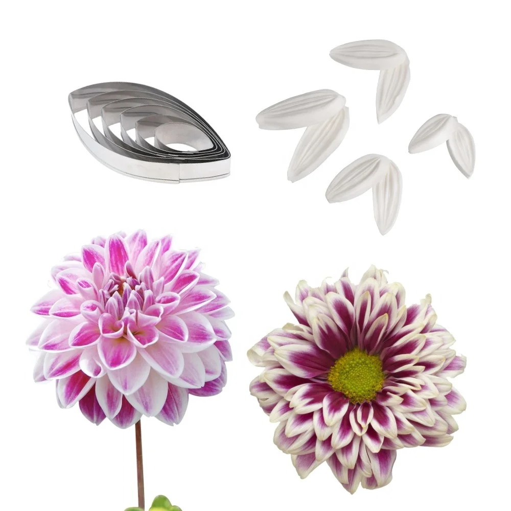 

AK Sugarpaste Dahlia Silicone Veiner and Stainless Steel Fondant Cutters Flower Making Tools Set for Decorating Cakes A606&VM127