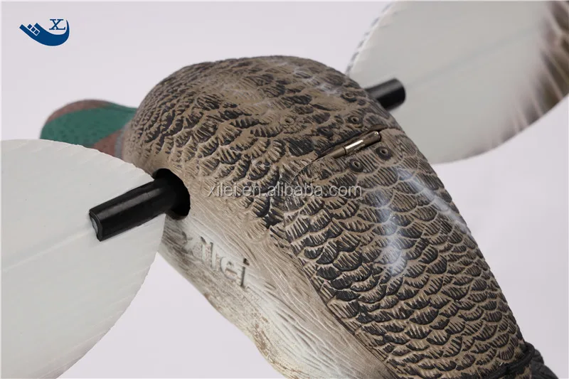 green wing teal (3).jpg