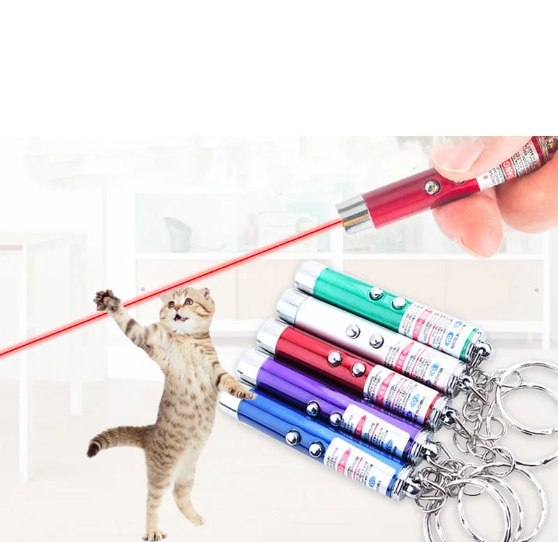 Details about   2 In1 Mini Red Pointer Pen.Keychain Flashlight Child Pet Cat Toy Fast Shipping 
