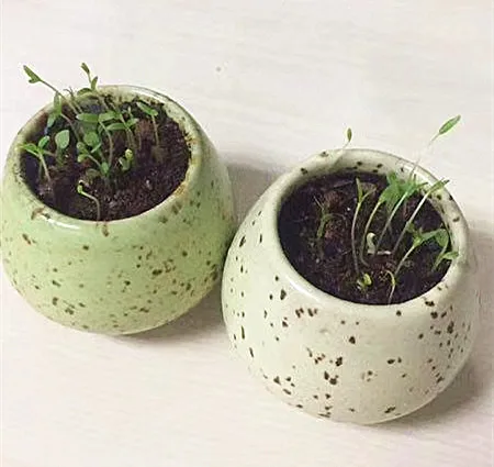 _202011031732091.jpg