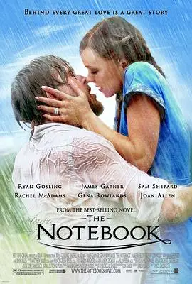 戀戀筆記本 The Notebook 楓林網