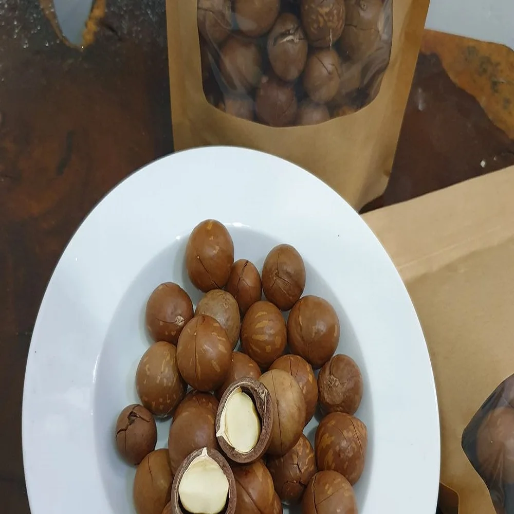 
Premium organic Common dried Macadamia from Daklands brand and made in Vietnam 