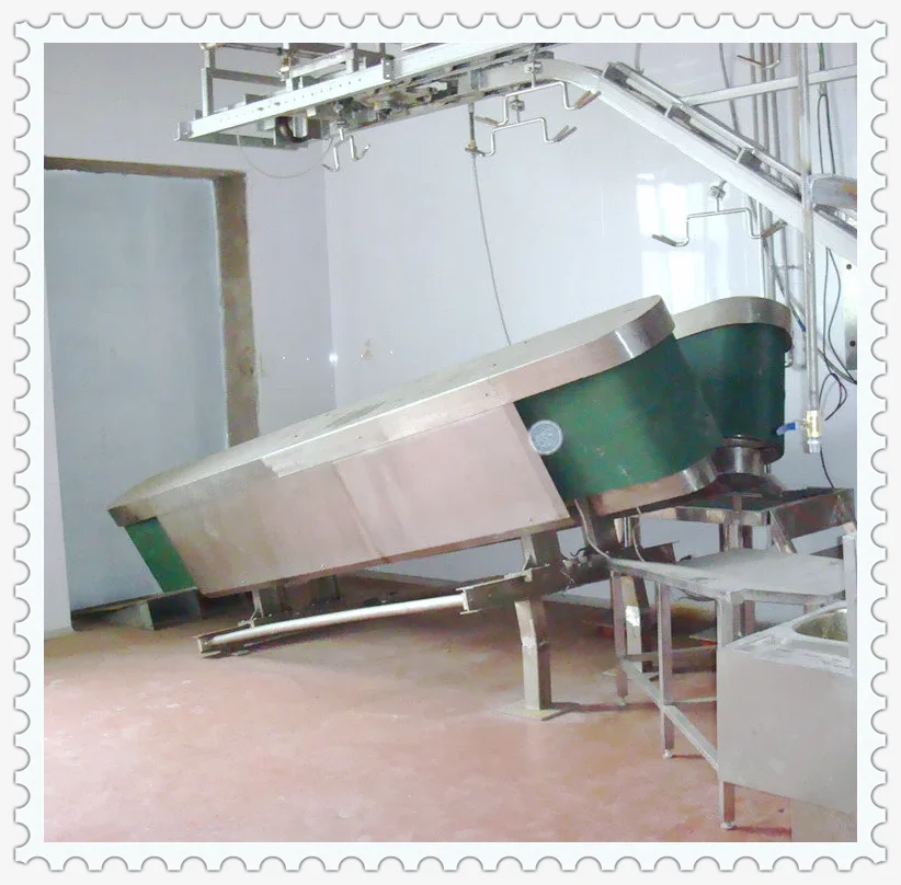 v_type_sheep_slaughtering_halal_ritual_killing_box_for_goat_abattoir