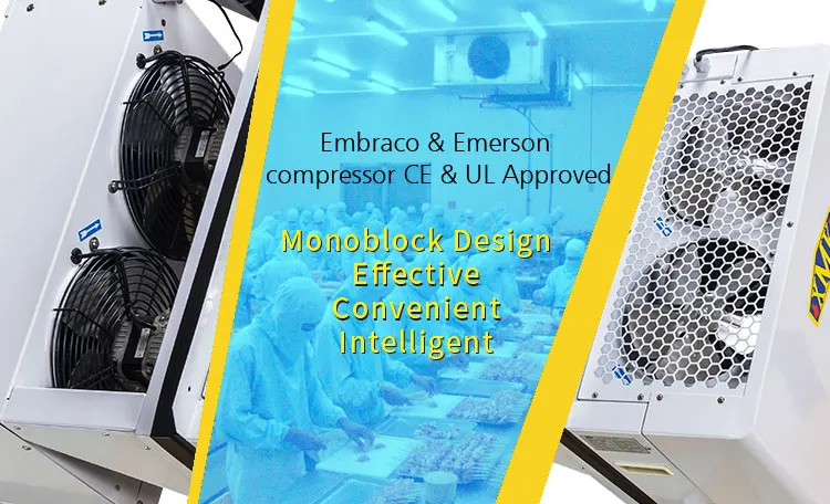 Monoblock Refrigeration Condensing Evaporator, Wall, R404A - detail 4