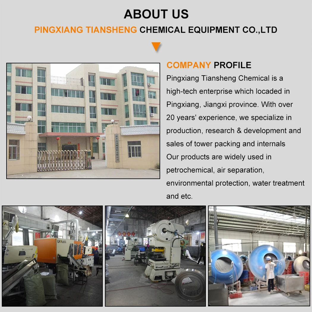 company profile.jpg