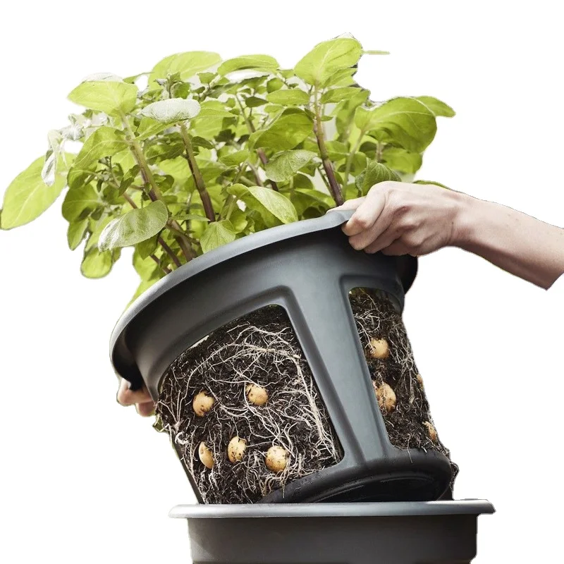 

Skyplant Round Bato Bucket for Potato Flower Black Agriculture Greenhouse Indoor Outdoor Garden Plastic Pot, Black/green/red