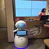 China famous brand supply directly new style clever smart humanoid robot price