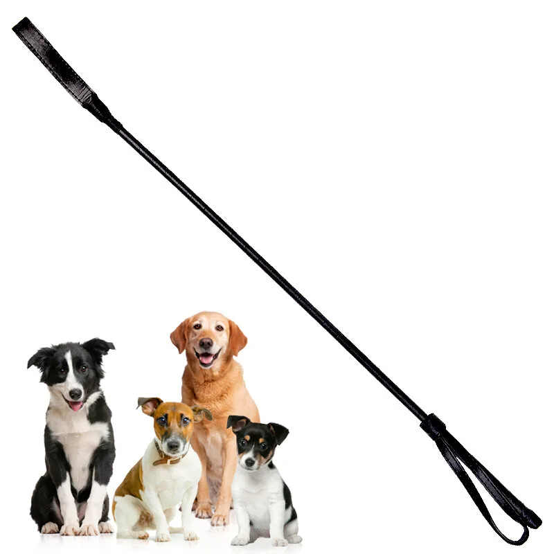 

Durable Interactive Pet Training Sticker Toy Dog Puppy Handler Training Whip