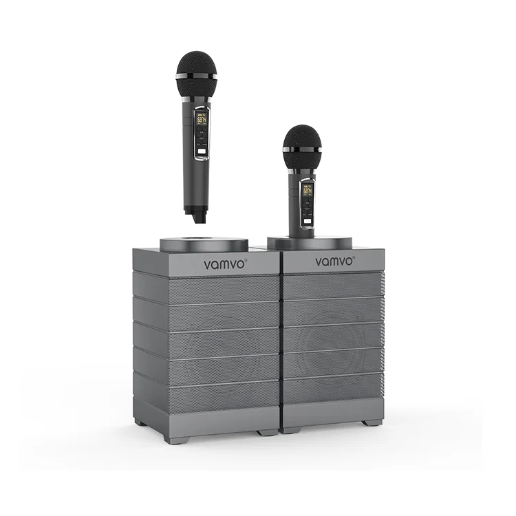 

Hot selling Bass Sound Family KTV 2-in-1 Portable Karaoke Wireless Speaker With Dual Microphone Speaker, Gray