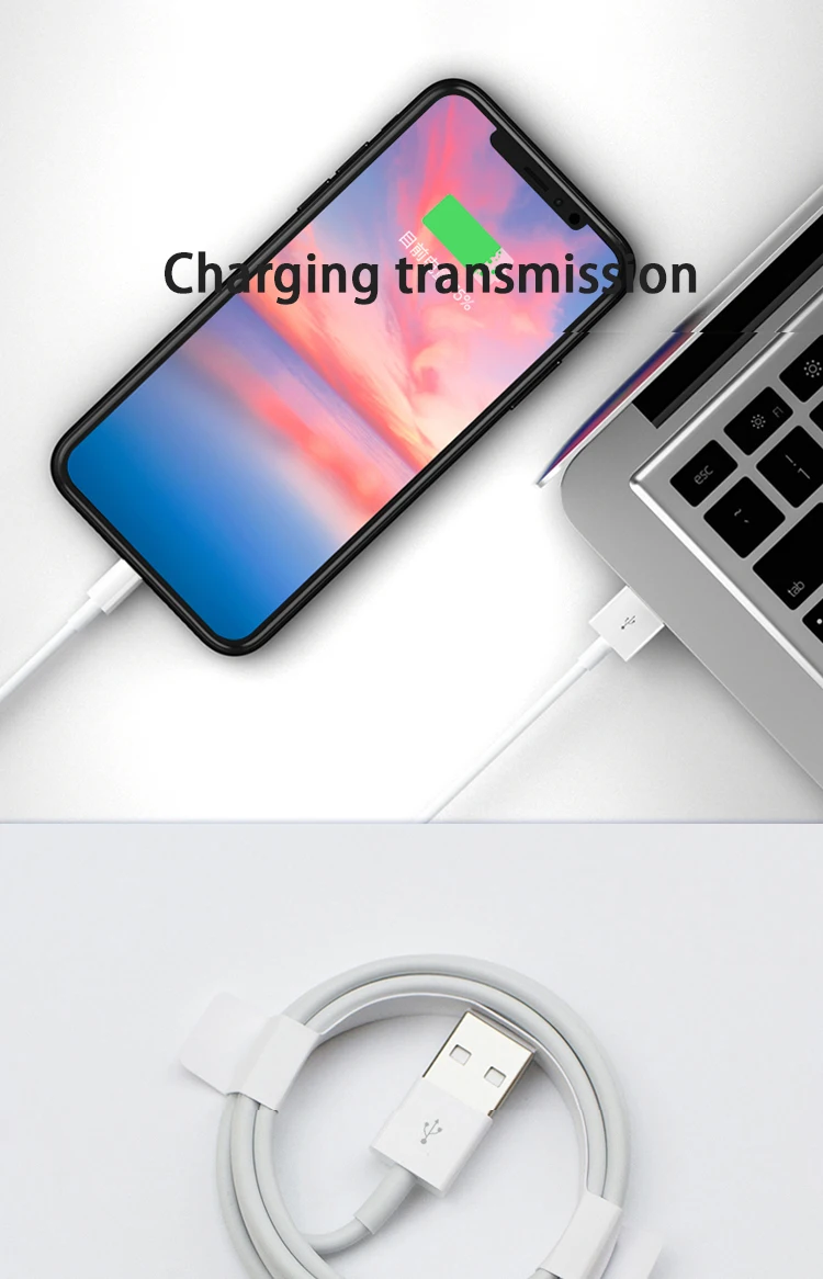Wings Hot Selling 8 pin Data Charging Cable for iPhone for iPad High Quality Factory Directly Sale Price Promotion Gift - ANKUX.COM