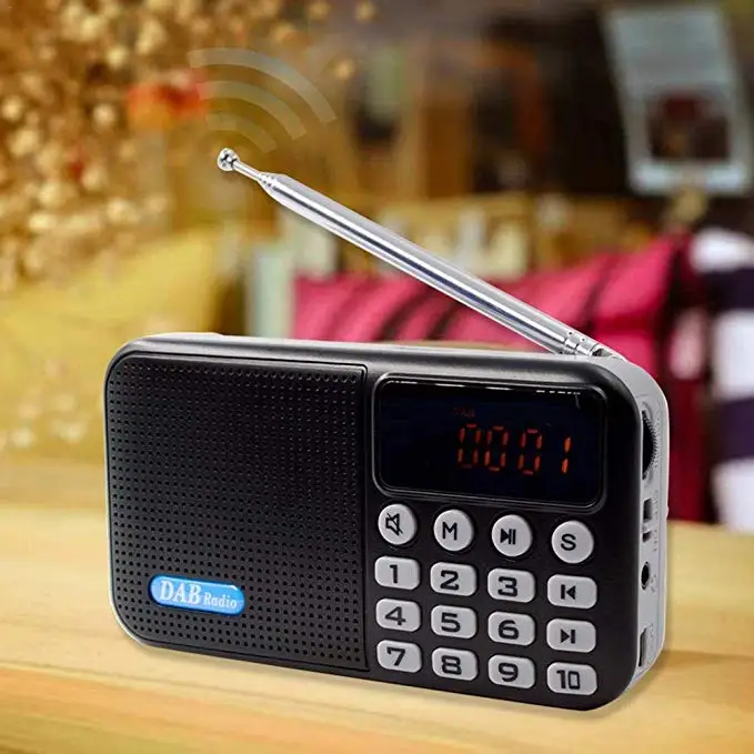 

Portable Radio FM/DAB/DAB+ Portable Digital Radio with connect with mobile phone