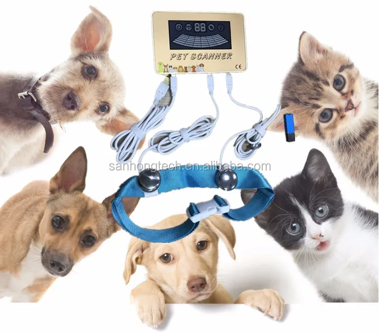 

Pet analysis device for cat and dog