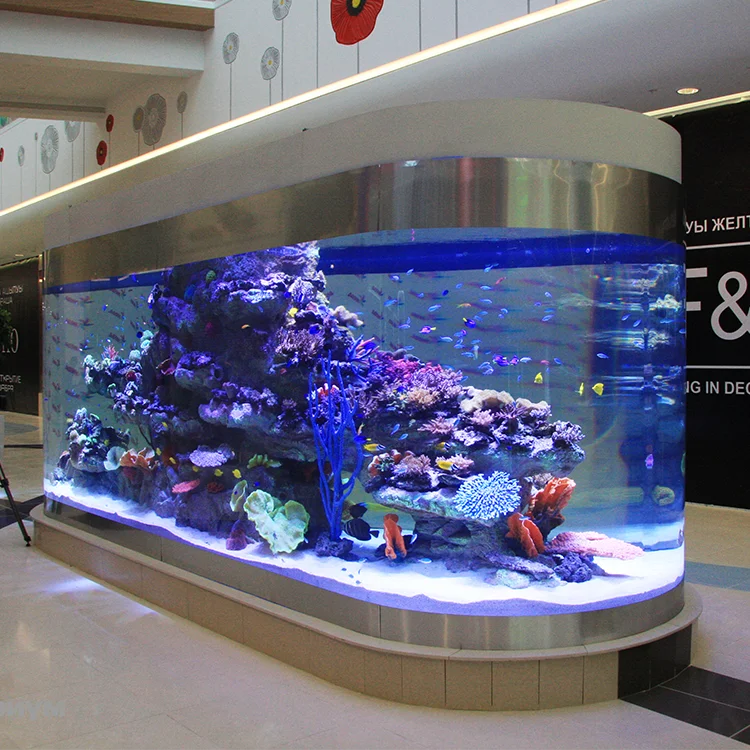 translucent aquarium fish