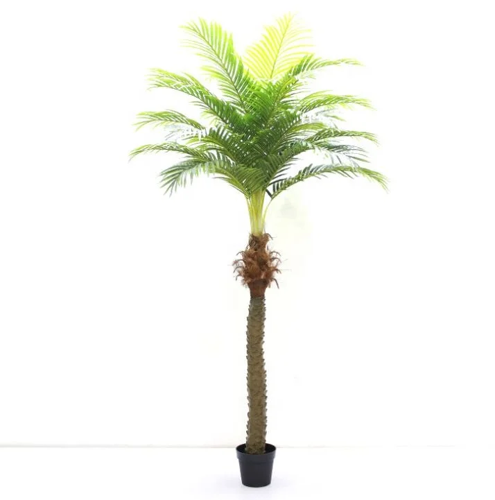 

230/300cm high kwai phoneix palm tree plastic outdoor cheap tropical artificial hawaii plam tree