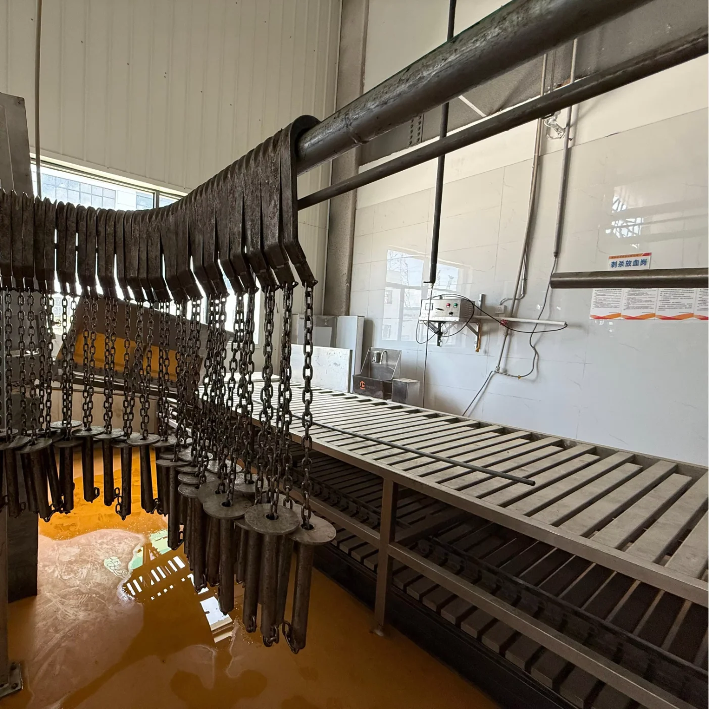 Automatic Pig Slaughterhouse Equipment Combined Scalding and Heair Remove Machine for Industrial Swine Hog Abattoir Line