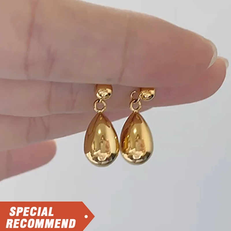 

2021 fashion Jewelry cute drop pendant earrings stainless steel earrings