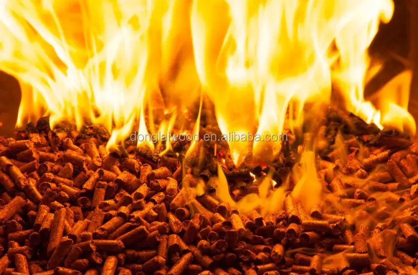 wood pellet 07.jpg