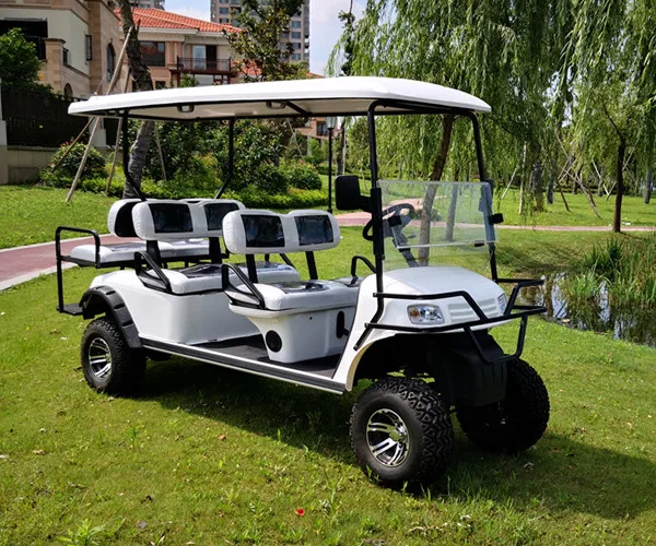 _2019082_.jpg