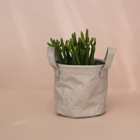 

Flower Pot Planter 2019 New Style Durable Kraft Paper Flower Pot Bag Decorative Box