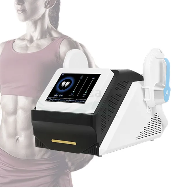 

Free shipping portable 2/4 handles Ems body sculpt muscle stimulator emslim building device