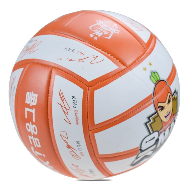 

PVC Material Machine Stitch Volleyball Ball Beach Ball Korea Volleyball, Customized colors