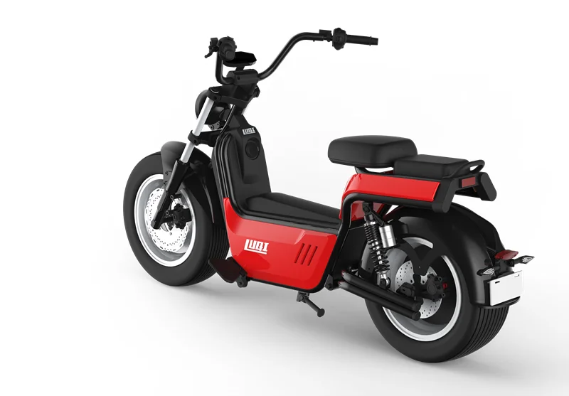 Hot selling in Europe 4000w citycoco europe tire fat electric scooter