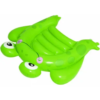 frog inflatable pool