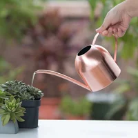 

500ml Mini Household Stainless Steel Semicircular Watering Can High Quality Long Spout Watering Can Metal