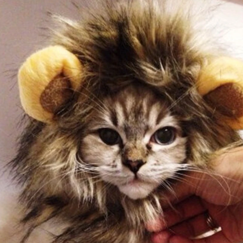 

Cute Cat Cap Pet Costume Lion Mane Wig Toe Box for Dog Cat Halloween Costume Headgear Dress up with Ears, 4 colors;picture shows, accept customized