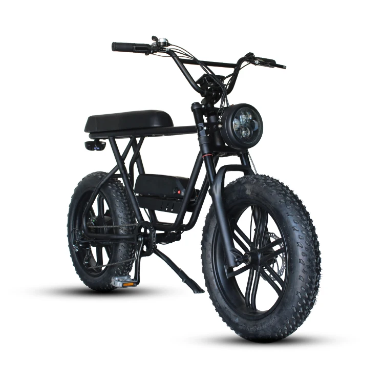 

Queene/super model new 20 inch fat tire e bike super electric bicycle 73