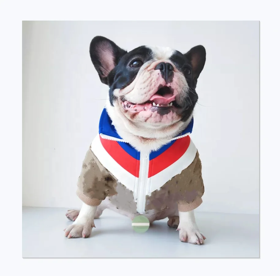 

New Design Colorful Stitching Fashion Trend Brand Style Luxury Pet Big Dog Zipper Coat