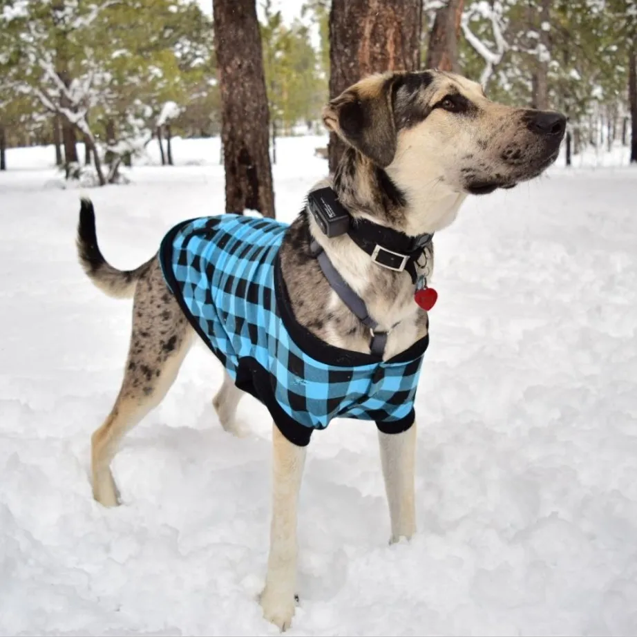 

Drop shipping fashion sport outfit luxury dog jacket winter pet clothes reflect plaid luxury dog jacket, 2colors